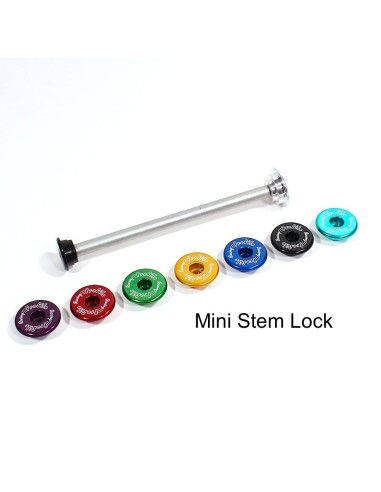 Profile Stem Lock