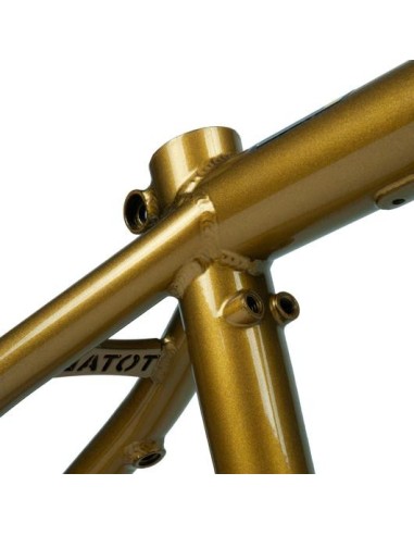 Cadre TOTAL Killabee K 21 Metalic Gold